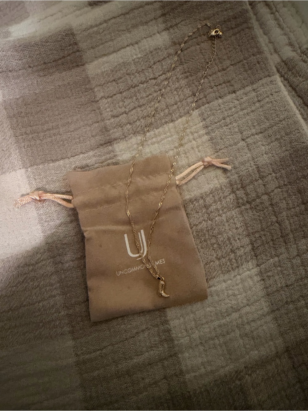 Uncommon James Gold Charm Necklace - Gold